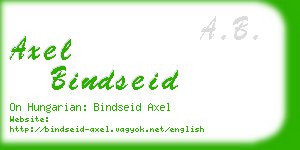 axel bindseid business card